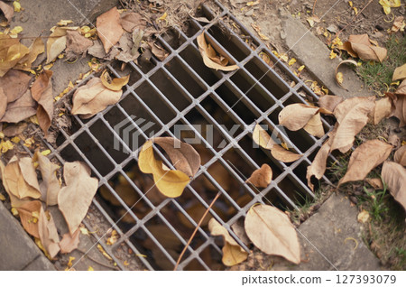 Autumn street scene with fallen leaves covering metal gutter cover Autumn street scene with fallen leaves covering metal gutter cover 127393079