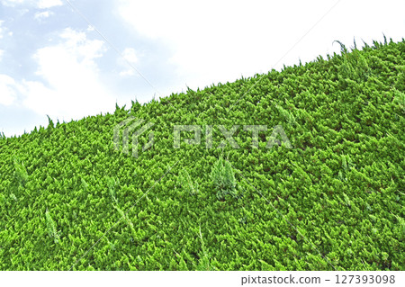 Kazuki Biki(Kaizuka Ibuki) Kazuki Biki(Kaizuka Ibuki) 127393098