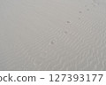 沙灘沙丘上孤獨的腳印與細緻波紋 127393177