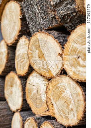 Closeup sawn round firewood. Pile stacked wood logs. Natural wooden background 127393279