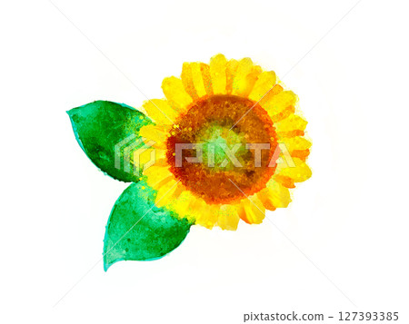 sunflower	 sunflower	 127393385
