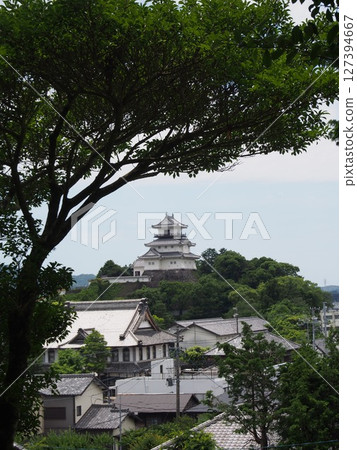 掛川城堡 127394667