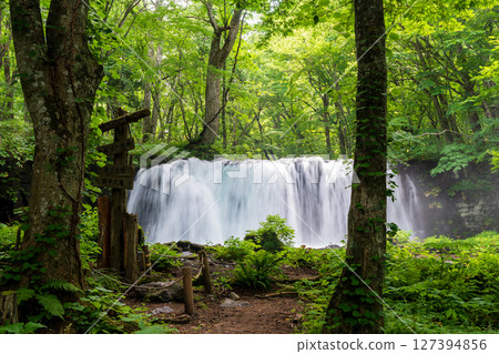The majestic Choshi Falls on the main stream of the Oirase Stream in summer. Aomori Prefecture 127394856
