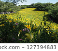 Kasuisai Lily Garden 127394883