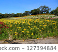 Kasuisai Lily Garden 127394884