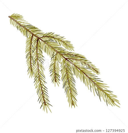Fir tree branch watercolor illustration Fir tree branch watercolor illustration 127394925