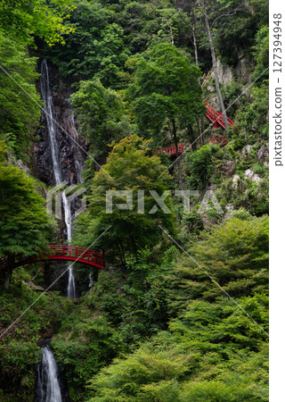 岐阜縣壯觀的五峰瀑布 127394948
