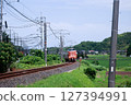 273 series Yakumo running on rural tracks 127394991