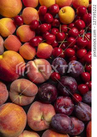 Fresh peaches, plums, cherries and apricots forming a colorful summer fruit composition Fresh peaches, plums, cherries and apricots forming a colorful summer fruit composition 127395222