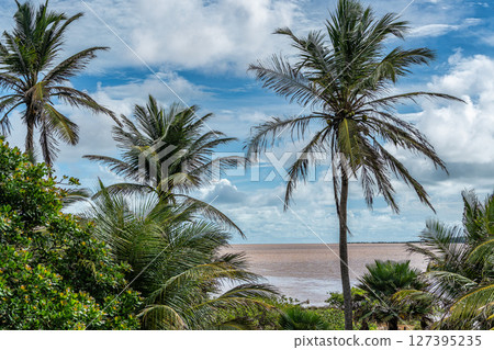 Typical Jungle lodge located at Ilha das Canarias, Brazil. Delta do Parnaiba and Delta das Americas. Typical Jungle lodge located at Ilha das Canarias, Brazil. Delta do Parnaiba and Delta das Americas. 127395235