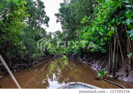 Boat trip on the Igarape do Urubu River, Delta das Americas to Ilha das Canarias, Brazil. South America Boat trip on the Igarape do Urubu River, Delta das Americas to Ilha das Canarias, Brazil. South America 127395256