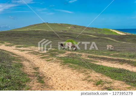 Trail along the coast and beaches from Jericoacoara to Pedra Furada in Ceara State, Brazil. Trail along the coast and beaches from Jericoacoara to Pedra Furada in Ceara State, Brazil. 127395279