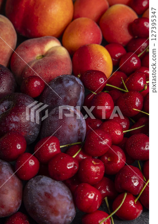 Fresh cherries, plums, peaches and apricots creating a colorful summer fruit composition 127395347