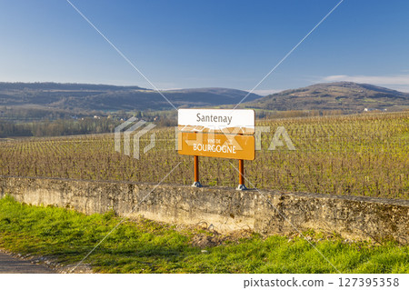 Santenay vineyard landscape in Bourgogne, France, showing appellation sign 127395358