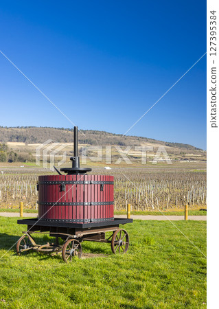 Traditional wine press standing in a vineyard in Puligny Montrachet, Bourgogne, France 127395384