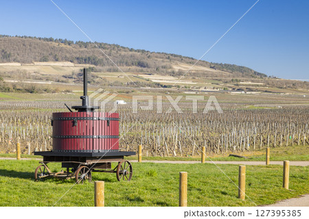 Traditional wine press standing in the vineyards of Puligny Montrachet in Burgundy, France Traditional wine press standing in the vineyards of Puligny Montrachet in Burgundy, France 127395385