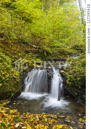 Small waterfall cascading down mossy rocks in autumn forest in Slovakia Small waterfall cascading down mossy rocks in autumn forest in Slovakia 127395418