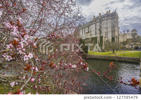 Chateau de Chateaudun rising above Loir river and pink blossoming tree in spring, Eure et Loir, France 127395479