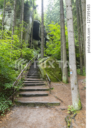 Stone stairs leading up to a rock formation in Hruba Skala, Czechia 127395485
