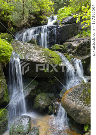 Water cascading down mossy rocks in the Jizera Mountains, Czechia Water cascading down mossy rocks in the Jizera Mountains, Czechia 127395504