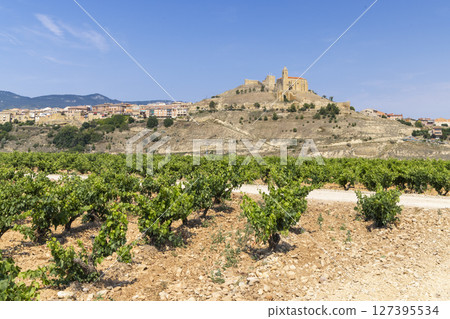 Vineyards growing near San Vicente de la Sonsierra in La Rioja, Spain 127395534