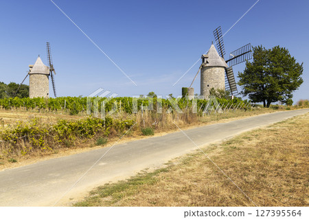 Traditional windmills rising above vineyards in Montagne, Gironde, France, under blue sky 127395564