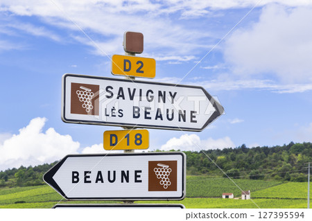 Road signs showing direction to Savigny les Beaune and Beaune in Burgundy, France 127395594