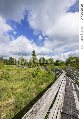 Wooden boardwalk winding through wetlands in Lutowiska, Poland, under a cloudy sky Wooden boardwalk winding through wetlands in Lutowiska, Poland, under a cloudy sky 127395656