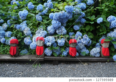 繡球花與地藏菩薩（岩手縣二戶市常福寺，2023年7月） 127395989