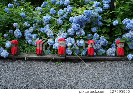 繡球花與地藏菩薩（岩手縣二戶市常福寺，2023年7月） 127395990
