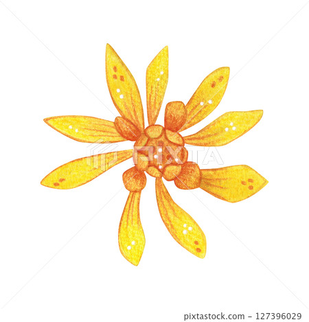 Bright yellow Schlumbergera flower. Watercolor hand drawn cartoon illustration. For scrapbooking, journaling, stickers, printing. Houseplant, garden, exotic, blossom Bright yellow Schlumbergera flower. Watercolor hand drawn cartoon illustration. For scrapbooking, journaling, stickers, printing. Houseplant, garden, exotic, blossom 127396029
