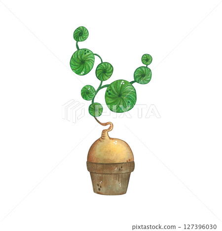 Plant with round leaves, in a flowerpot. Watercolor illustration, hand drawn, cartoon. For scrapbooking, journaling, stickers, printing Plant with round leaves, in a flowerpot. Watercolor illustration, hand drawn, cartoon. For scrapbooking, journaling, stickers, printing 127396030