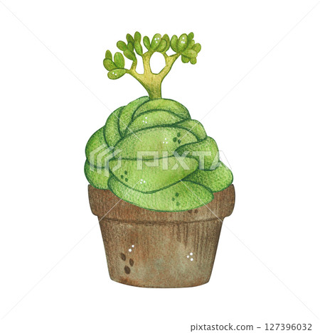 Green plant in pot, succulent. Watercolor illustration, hand drawn, cartoon. For scrapbooking, journaling, stickers, printing. Houseplant, garden, exotic 127396032