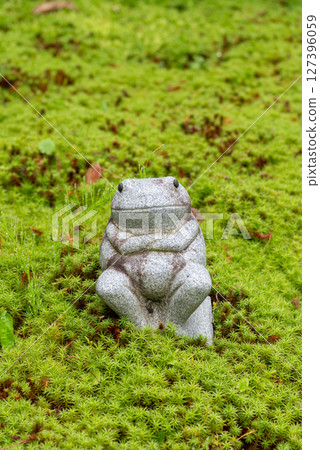 苔蘚花園裡的青蛙雕像 苔蘚花園裡的青蛙雕像 127396059