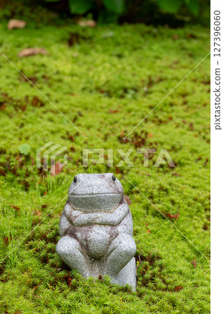 Frog statue in a mossy garden 127396060