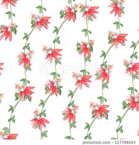 Liana branches with red flowers watercolor seamless pattern isolated on white. Hand drawn design perfect for cards, posters, botanical patterns, eco decor, tropical rainforest design. Nature clip art 127396085