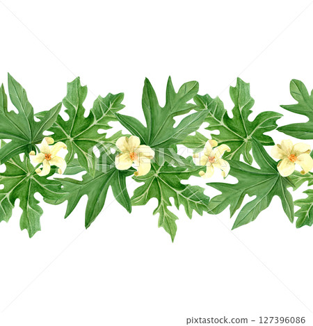 Papaya leaf and flower watercolor seamless border isolated on white background. Hand drawn tropical nature design element, sketch style. Design perfect for cards, posters, decor, eco design, textile 127396086