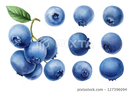 Watercolor Blueberry Set with Branch and Berries Botanical Summer Fruit Clipart for Recipes Packaging Labels and Kitchen Decor 127396094