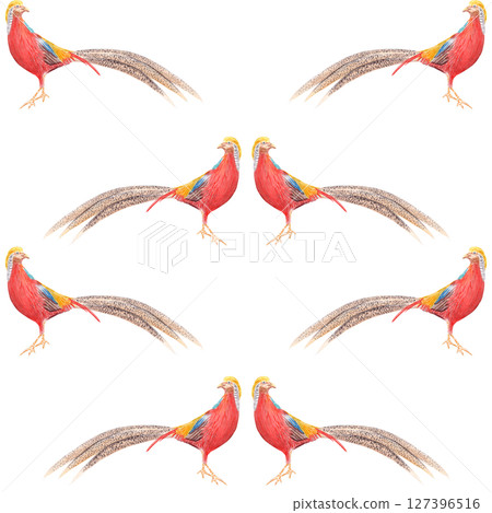 Golden pheasant watercolor seamless pattern isolated on white. High quality hand drawn clipart sketch style perfect for cards, posters, stickers, book design, decor. Exotic tropical vibrant China bird Golden pheasant watercolor seamless pattern isolated on white. High quality hand drawn clipart sketch style perfect for cards, posters, stickers, book design, decor. Exotic tropical vibrant China bird 127396516