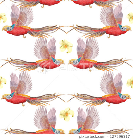 Flying tropical birds with long tails and white flowers watercolor seamless border isolated on white. Hand-painted perfect for wedding stationery, fabric prints, summer projects. Golden pheasant Flying tropical birds with long tails and white flowers watercolor seamless border isolated on white. Hand-painted perfect for wedding stationery, fabric prints, summer projects. Golden pheasant 127396517