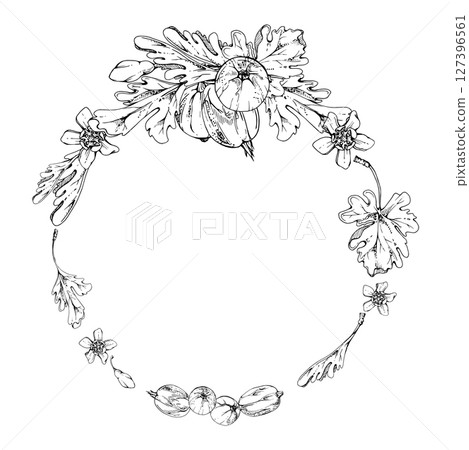 Gooseberry berries leaves flowers in water dew drops hand drawn in vector ink. Ripe garden Currant huckleberry casseille jostaberry. Isolated circle wreath frame. Seasonal florist, farmers market menu Gooseberry berries leaves flowers in water dew drops hand drawn in vector ink. Ripe garden Currant huckleberry casseille jostaberry. Isolated circle wreath frame. Seasonal florist, farmers market menu 127396561