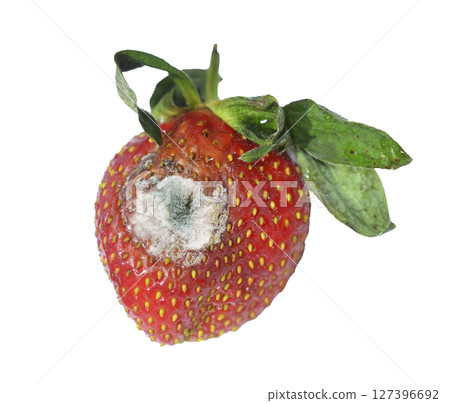 Strawberry with molds 127396692