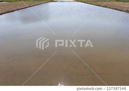 稻田倒映在水中 127397148