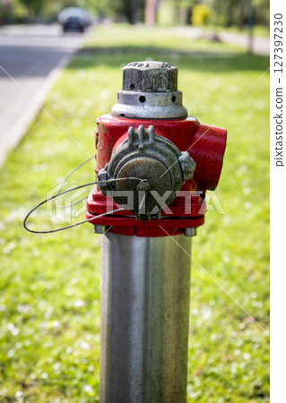 Close-Up of Fire Hydrant on Urban Green Lawn with Street Background 127397230