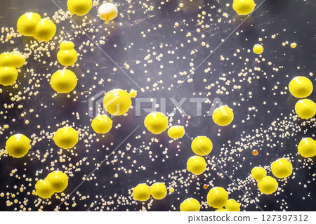 Bacteria grown from skin smear, colonies of Micrococcus luteus and Staphylococcus epidermidis Bacteria grown from skin smear, colonies of Micrococcus luteus and Staphylococcus epidermidis 127397312