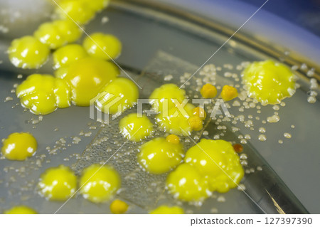 Bacteria grown from skin smear 127397390