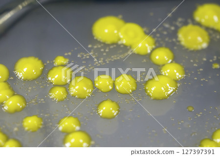 Bacteria grown from skin smear Bacteria grown from skin smear 127397391