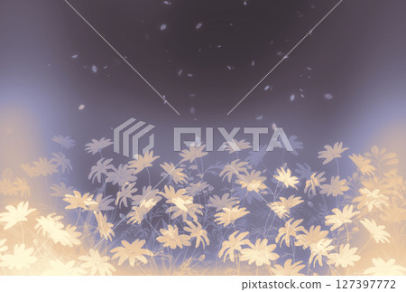 瑪格麗特花盛開的橙色風景紋理 127397772