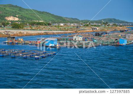 Shrimp and fish farming farm with fishing cages and nets on the water in the sea bay in Vietnam in Asia in summer. Aerial top view from drone 127397885