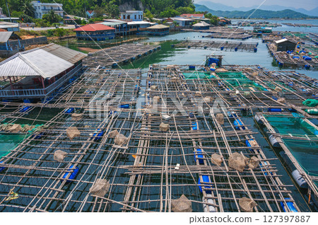 fish farm with fishing cages on the water in sea bay in Vietnam in Asia fish farm with fishing cages on the water in sea bay in Vietnam in Asia 127397887